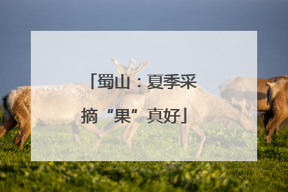 蜀山：夏季采摘“果”真好