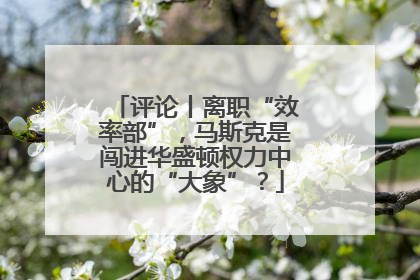 评论丨离职“效率部”，马斯克是闯进华盛顿权力中心的“大象”？