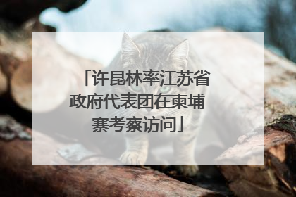许昆林率江苏省政府代表团在柬埔寨考察访问