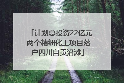 计划总投资22亿元 两个精细化工项目落户四川自贡沿滩