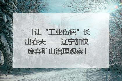 让“工业伤疤”长出春天——辽宁加快废弃矿山治理观察