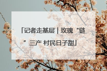 记者走基层｜玫瑰“链”三产 村民日子甜