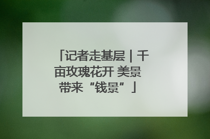 记者走基层｜千亩玫瑰花开 美景带来“钱景”