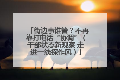 街边事谁管？不再靠打电话“协调”（干部状态新观察·走进一线探作风）