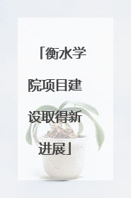 衡水学院项目建设取得新进展