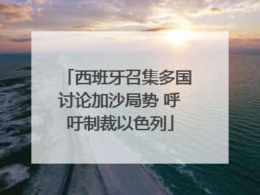 西班牙召集多国讨论加沙局势 呼吁制裁以色列