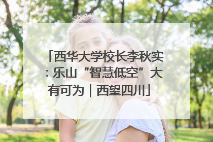 西华大学校长李秋实：乐山“智慧低空”大有可为｜西望四川
