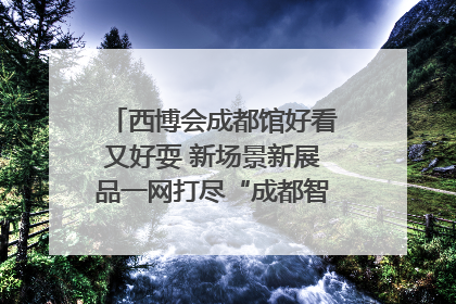 西博会成都馆好看又好耍 新场景新展品一网打尽“成都智造”｜西博视界