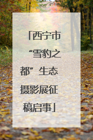 西宁市“雪豹之都”生态摄影展征稿启事