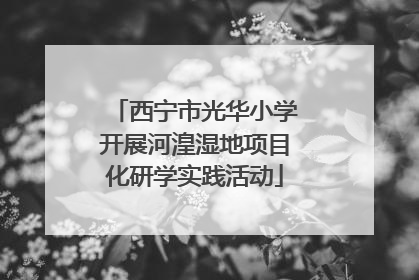 西宁市光华小学开展河湟湿地项目化研学实践活动
