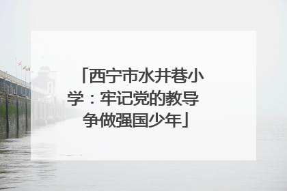 西宁市水井巷小学：牢记党的教导 争做强国少年