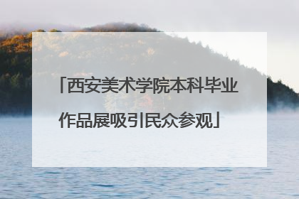 西安美术学院本科毕业作品展吸引民众参观