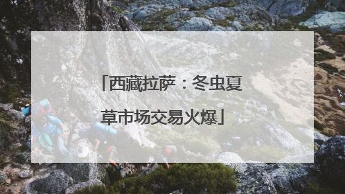 西藏拉萨：冬虫夏草市场交易火爆
