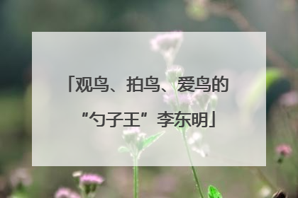 观鸟、拍鸟、爱鸟的“勺子王”李东明