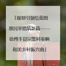 规划引领绘蓝图 惠民举措筑新篇——徐州丰县宗集村奏响和美乡村振兴曲