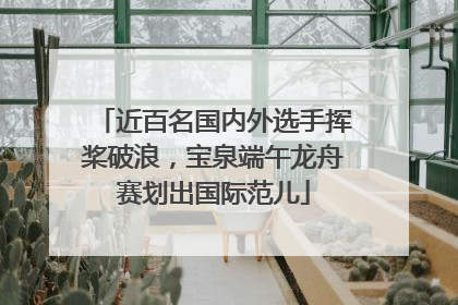 近百名国内外选手挥桨破浪，宝泉端午龙舟赛划出国际范儿