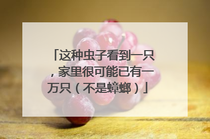 这种虫子看到一只，家里很可能已有一万只（不是蟑螂）