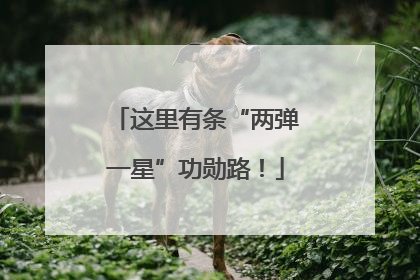 这里有条“两弹一星”功勋路！