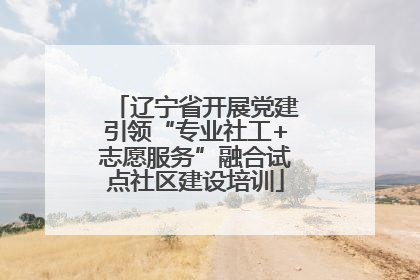 辽宁省开展党建引领“专业社工+志愿服务”融合试点社区建设培训