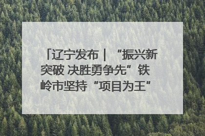 辽宁发布｜“振兴新突破 决胜勇争先”铁岭市坚持“项目为王”推进经济高质量发展