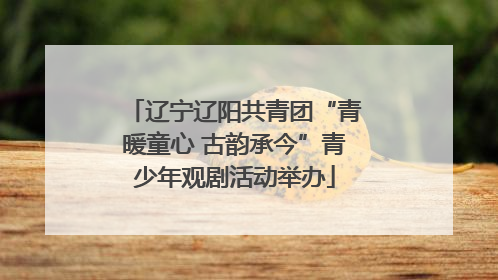辽宁辽阳共青团“青暖童心 古韵承今”青少年观剧活动举办