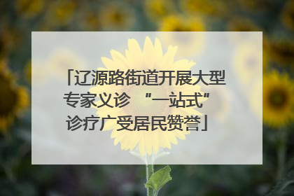 辽源路街道开展大型专家义诊 “一站式”诊疗广受居民赞誉