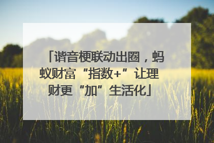 谐音梗联动出圈，蚂蚁财富“指数+”让理财更“加”生活化