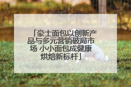 豪士面包以创新产品与多元营销破局市场 小小面包成健康烘焙新标杆