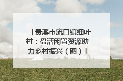 贵溪市流口镇细叶村：盘活闲置资源助力乡村振兴（图）
