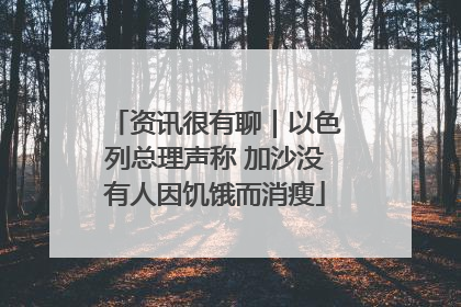资讯很有聊｜以色列总理声称 加沙没有人因饥饿而消瘦