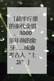 超半斤重的秦代金饼、3000多年前的象牙……成渝考古人“上新”