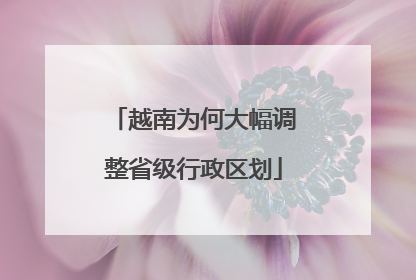 越南为何大幅调整省级行政区划