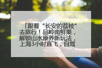 跟着“长安的荔枝”去旅行！品岭南鲜果，解锁山水康养新玩法，上海3小时直飞，自驾高速费优惠