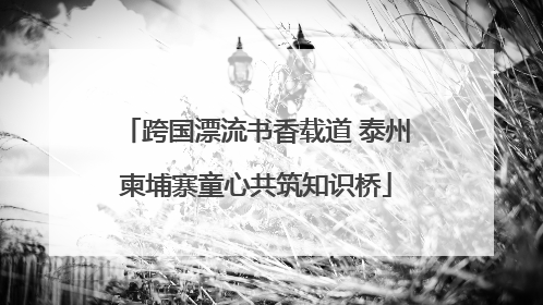 跨国漂流书香载道 泰州柬埔寨童心共筑知识桥