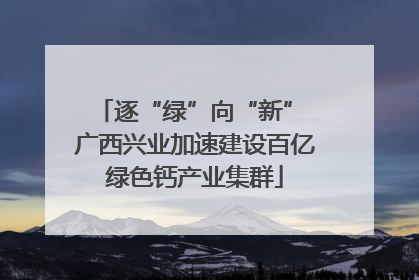 逐“绿”向“新” 广西兴业加速建设百亿绿色钙产业集群