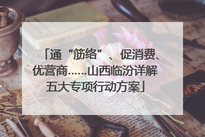 通“筋络”、促消费、优营商……山西临汾详解五大专项行动方案