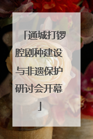通城打锣腔剧种建设与非遗保护研讨会开幕