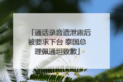 通话录音遭泄露后被要求下台 泰国总理佩通坦致歉