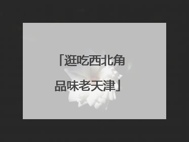 逛吃西北角 品味老天津
