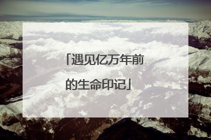 遇见亿万年前的生命印记