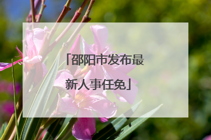 邵阳市发布最新人事任免