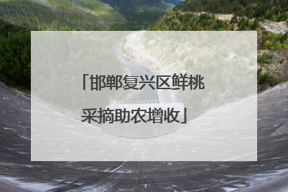 邯郸复兴区鲜桃采摘助农增收