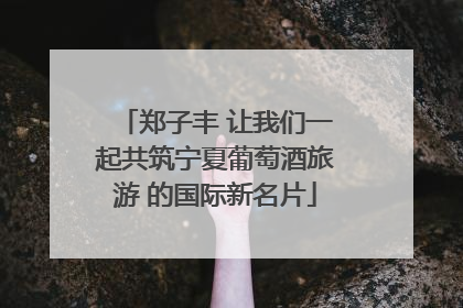 郑子丰 让我们一起共筑宁夏葡萄酒旅游 的国际新名片