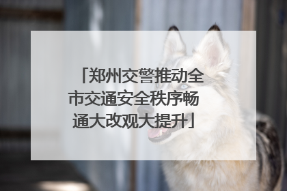 郑州交警推动全市交通安全秩序畅通大改观大提升