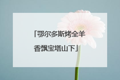 鄂尔多斯烤全羊香飘宝塔山下