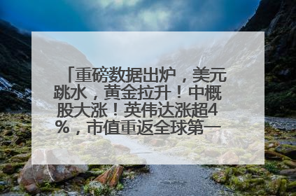 重磅数据出炉，美元跳水，黄金拉升！中概股大涨！英伟达涨超4%，市值重返全球第一！黄仁勋计划出售至多600万股股票