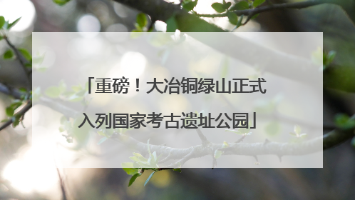 重磅！大冶铜绿山正式入列国家考古遗址公园