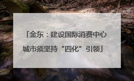 金东：建设国际消费中心城市须坚持“四化”引领