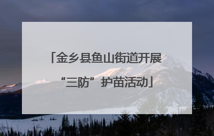 金乡县鱼山街道开展“三防”护苗活动