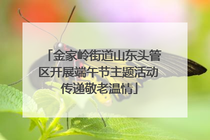 金家岭街道山东头管区开展端午节主题活动 传递敬老温情